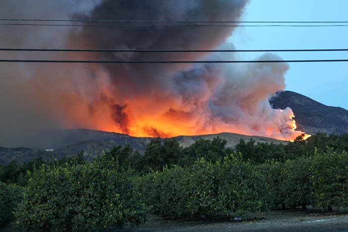 California-Fire-Burning-scaled-1