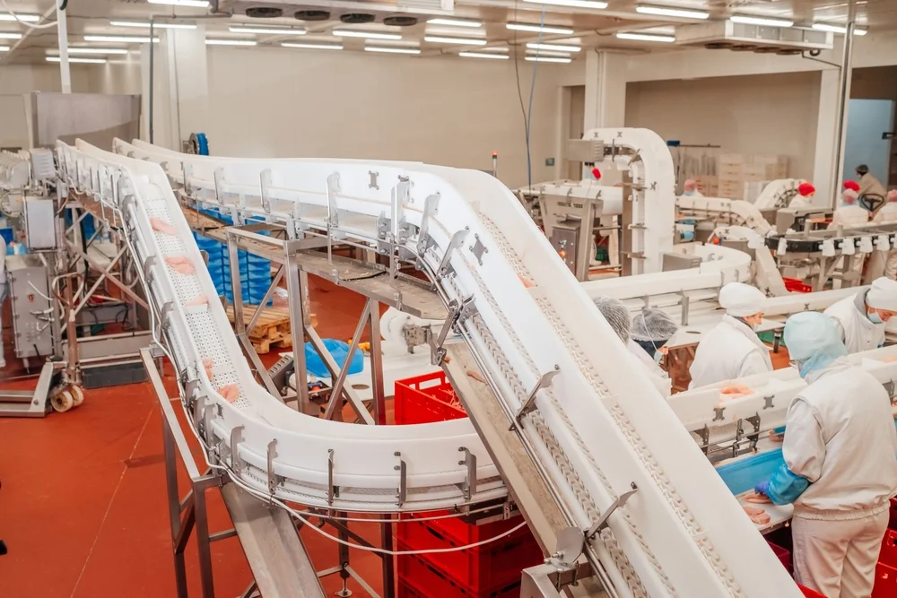 shutterstock_2125507841