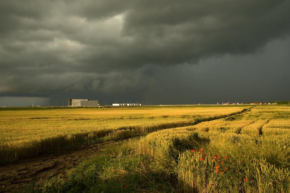 a field of grass with a dark sky