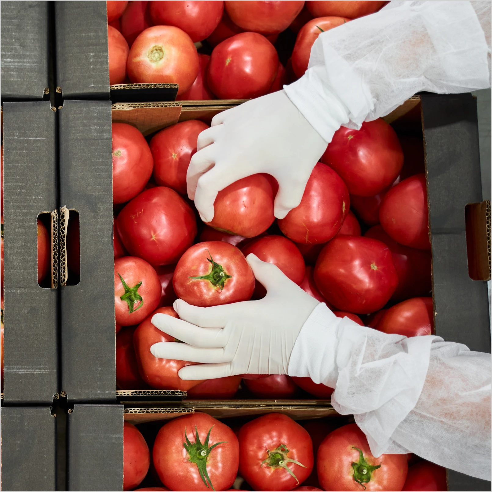 food-beverage-hero_img-3