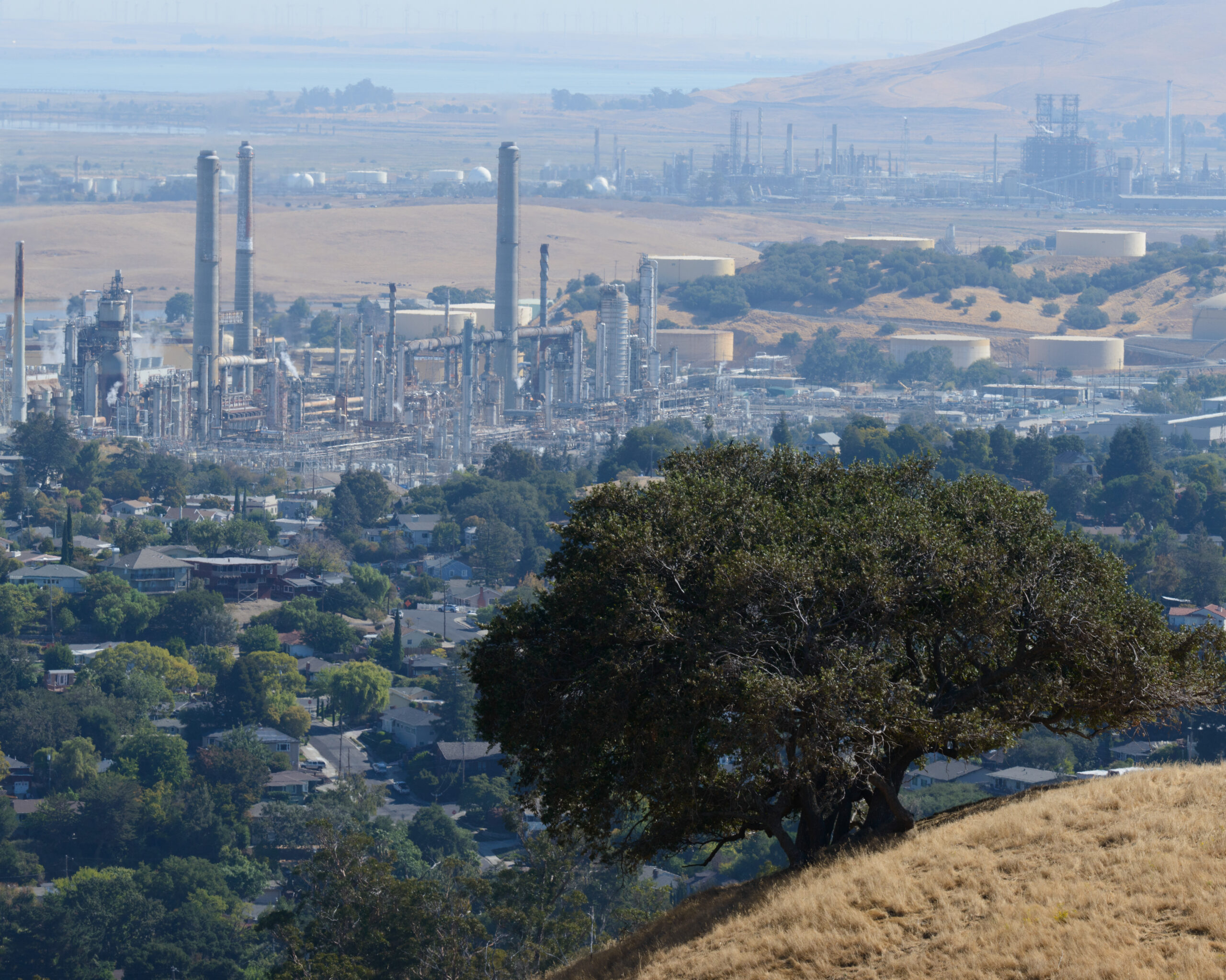 Refinery-scaled